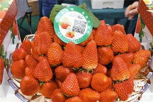 国产草莓在线,甜蜜滋味，绿色健康新选择  第2张